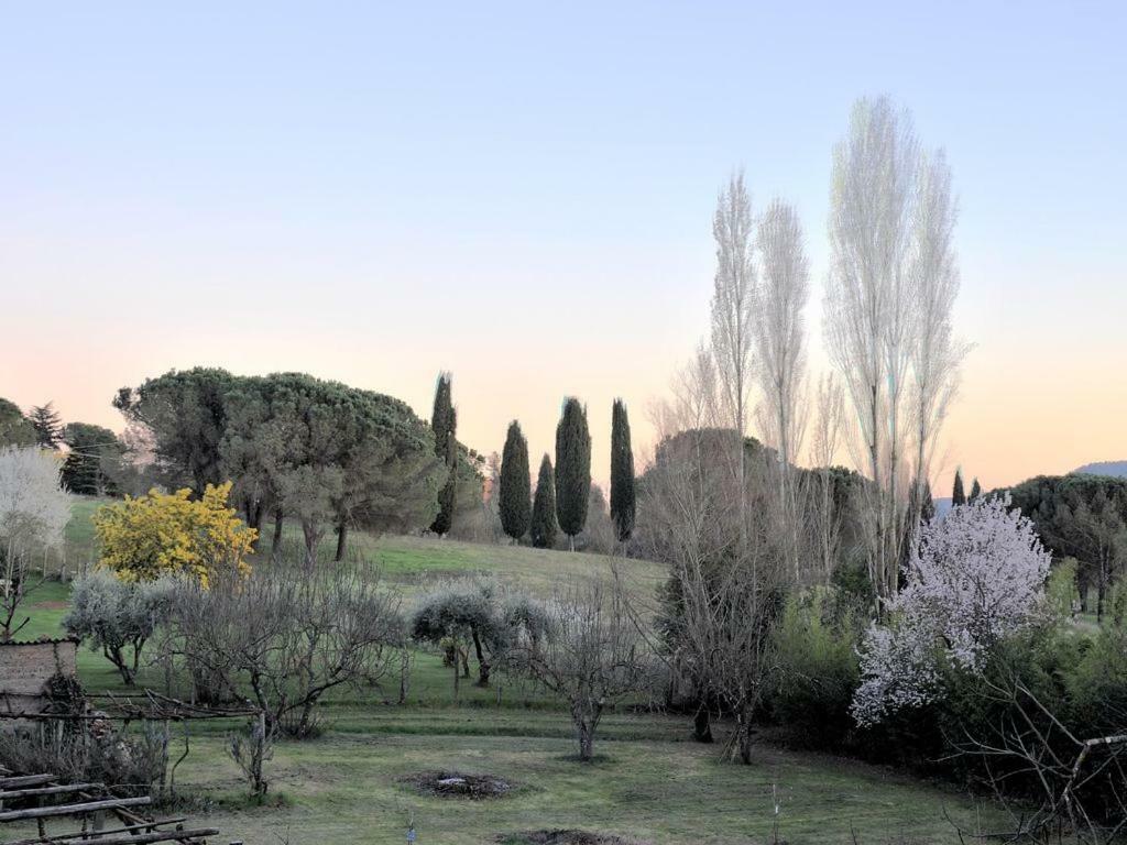Il Maestro E L'Innamorata Sutri Luaran gambar